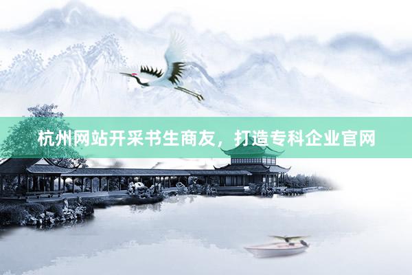 杭州网站开采书生商友，打造专科企业官网