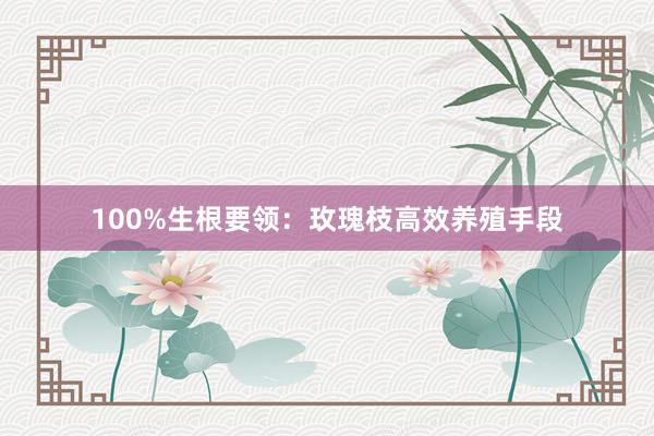 100%生根要领：玫瑰枝高效养殖手段